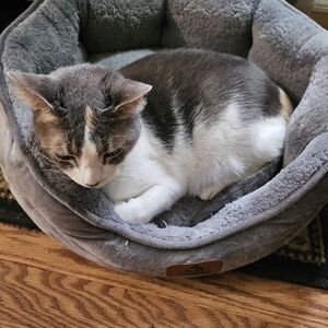 Meet your Posher, Ruth